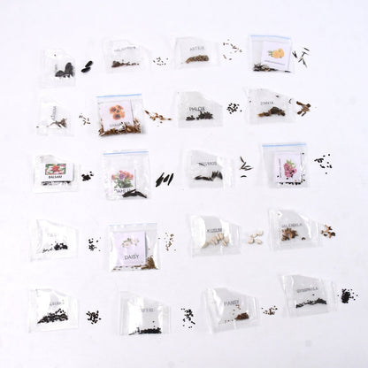 Rainbow Bloom Seed Set