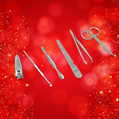 Professional nail care kit with travel case